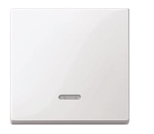 Merten 431019 Light Switch, White