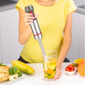 Zelmer ZHB4652 VARIO 0,5 l Blender immersyjny 1400 W Szary, Srebrny