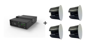 Vivolink Audiopack Subwoofer 6,5 + 4 x Premium-Deckenlautsprecher mit 40 W (limitiertes Bundle-Angebot) Schwarz, kabelgebunden, 110 W