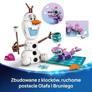 LEGO Disney Princess Piknik Olafa i Bruniego