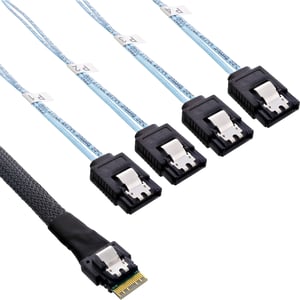 InLine 27646B SAS-kabel 1 m 12 Gbit/s Svart