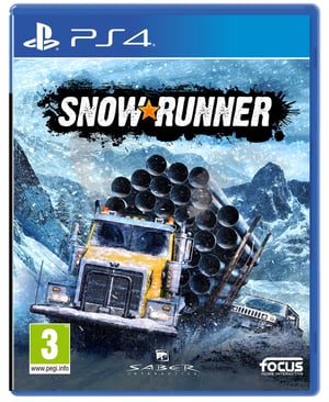 PAN Vision SnowRunner, PS4 Standardowy PlayStation 4