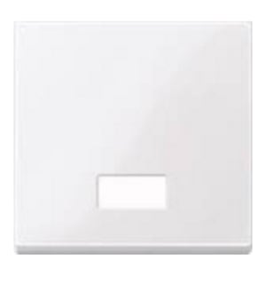 Merten 432825 Light Switch, Thermoplastic, White