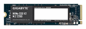 GIGABYTE G3NVMEV2256G 256 GB M.2 PCI Express 3.0 NVMe 3D TLC NAND SSD