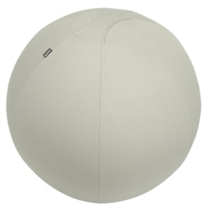 Leitz Ergo träningsboll 65 cm Grå Fullstorlek