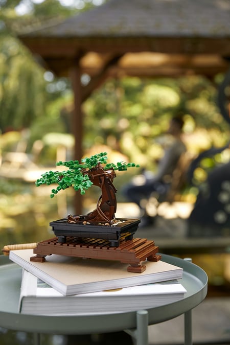 LEGO Botanicals Drzewko bonsai