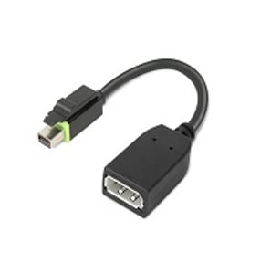 Lenovo 4X90Q93975 Mini DisplayPort to DisplayPort Cable Adapter, Black