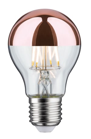 Paulmann 286.71 LED Bulb, Warm White 2700 K, 6.5 W, E27