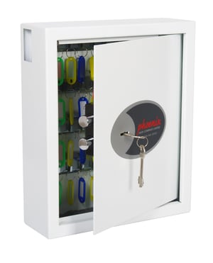 Phoenix Safe Co. Cygnus Metal Vit