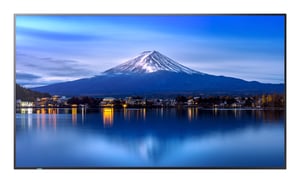 Sharp MultiSync P656 Kiosk 163,8 cm (64.5") LCD 700 cd/m² 4K Ultra HD Czarny Procesor wbudowany
