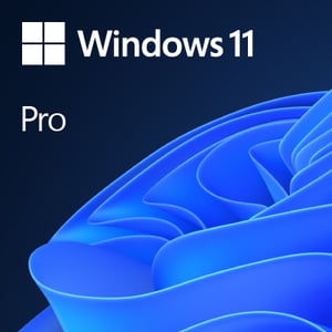 Microsoft Windows 11 Pro 1 x licencja