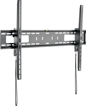 Schwaiger TILT 5 2.54 m (100") Silver