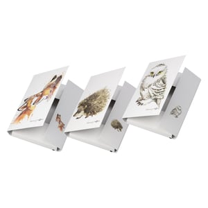 Pagna 21339-25 White Cardboard Document Storage Box