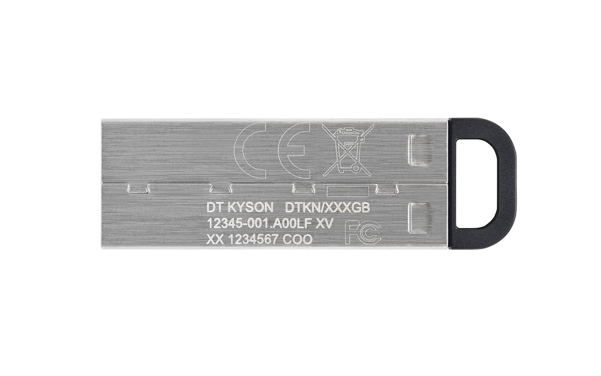 Kingston Technology DataTraveler Pamięć Flash USB Kyson 256 GB
