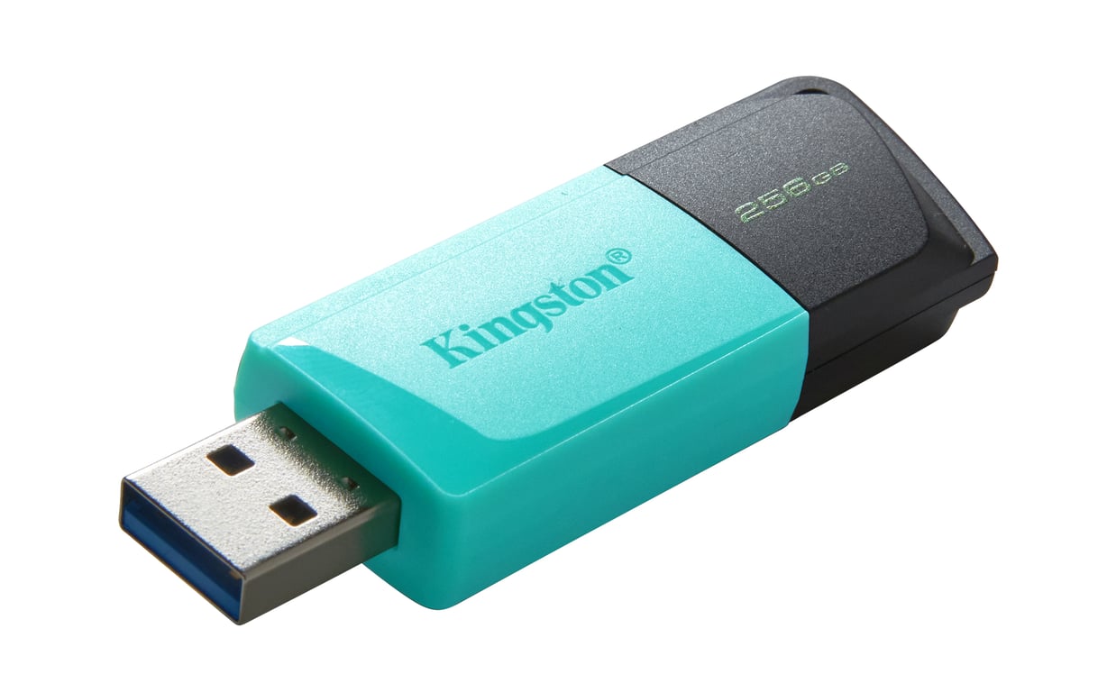 Kingston Technology DataTraveler 256GB USB3.2 Gen1 Exodia M (Czarny/turkusowy)