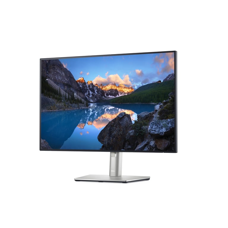Dell モニターU2421e DELL UltraSharp U2421E LED display 61,2 cm (24.1