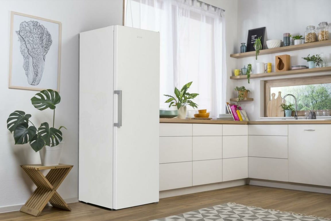 Gorenje R619EEW5 lodówka Wolnostojący 398 l Biały