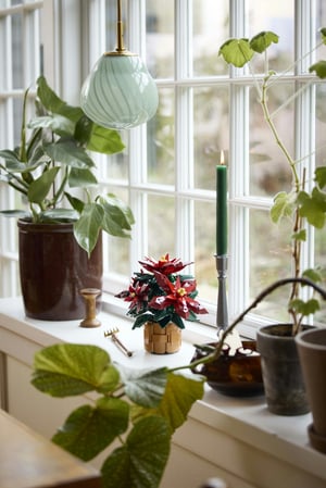 LEGO Botanicals Gwiazda Betlejemska
