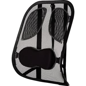 Fellowes 8029901 Rear Chair Support, Graphite