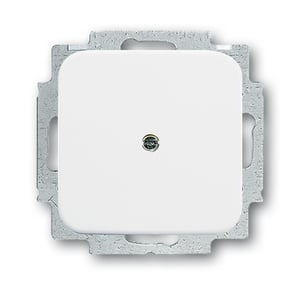 Busch-Jaeger 2538-214 switch accessories