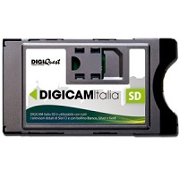 Module für den bedingten Zugriff (CAM)