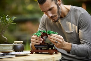 LEGO Botanicals Drzewko bonsai