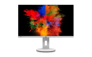 Fujitsu P2711 TE QHD monitor komputerowy 68,6 cm (27") 2560 x 1440 px Quad HD LED Szary