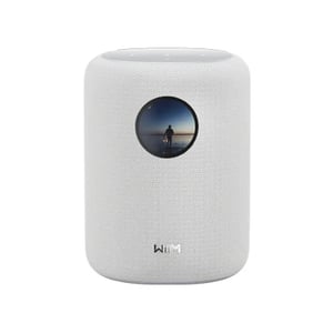 WiiM Sound 2-drożny Biały Przewodowy i Bezprzewodowy 100 W
