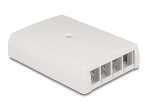 DeLOCK Keystone Surface-Mount Module, 4-port, white