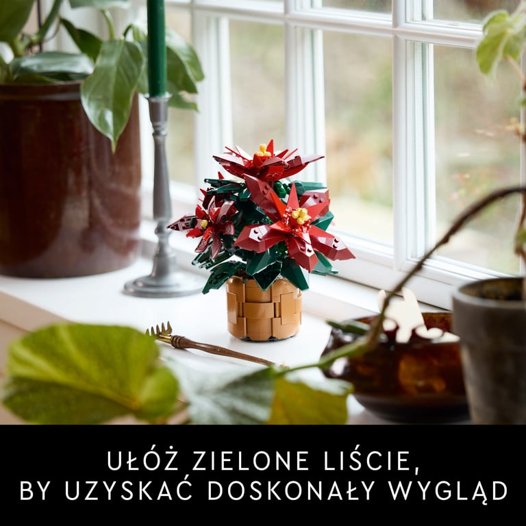 LEGO Botanicals Gwiazda Betlejemska