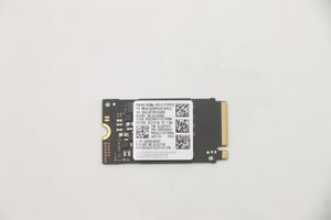 Lenovo 5SS0V42253 256 GB M.2 PCI Express SSD