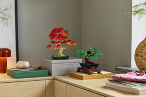 LEGO Botanicals Drzewko bonsai