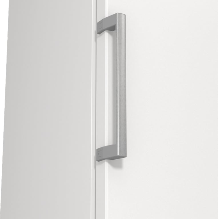 Gorenje FN619EEW5 Zamrażarka wolnostojąca Wolnostojący 280 l Biały