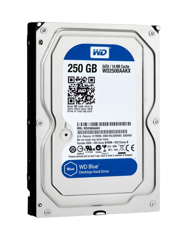 Western Digital Caviar Blue 250GB dysk twardy 7200 RPM 16 MB 3.5" SATA