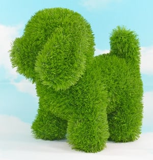 AniPlants 53248 Garden Sculpture Animal Figurine for the Garden Green 1 pc.
