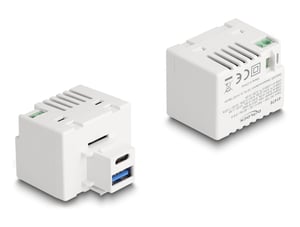 DeLOCK Moduł Keystone z portem ładowania USB Typ-A i USB Type-C PD 20 W, biały
