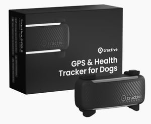 Tractive GPS DOG 6 PET GPS-spårare, svart