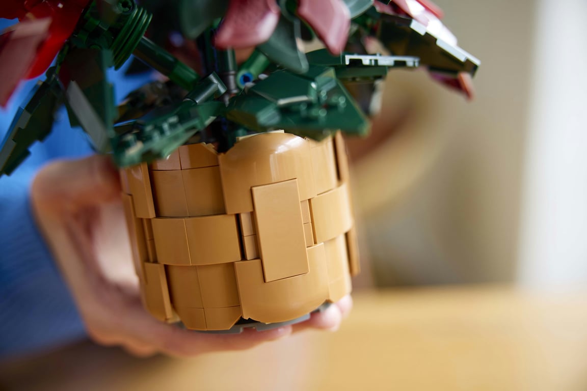LEGO Botanicals Gwiazda Betlejemska