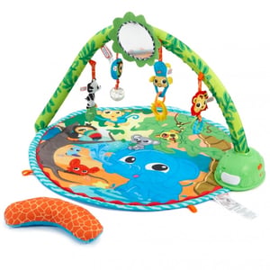 Little Tikes Sway 'n Play Gym, Multicolored Plastic