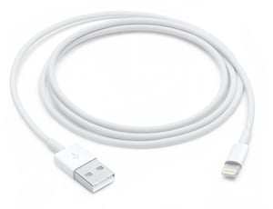 Apple MD818ZM/A 1-meter Lightning Cable, White