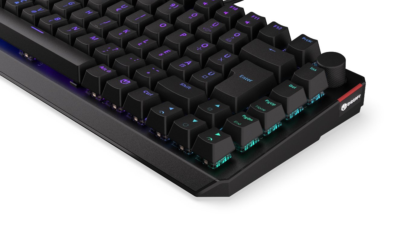 ENDORFY EY5E007 klawiatura Gaming USB Węgierski Czarny