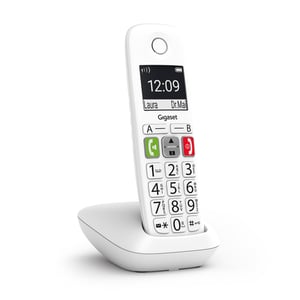 Gigaset E290 telefon Telefon analogowy/DECT Nazwa i identyfikacja dzwoniącego Biały