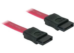 DeLOCK SATA-Kabel – 0,3 m SATA-Kabel, rot
