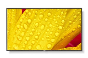 NEC MultiSync M551-2 Kiosk 127 cm (50") LED 4K Ultra HD Schwarz Integrierter Prozessor