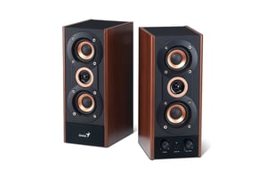 Genius Computer Technology SP-HF800A Schwarz, Holz, kabelgebunden, 20 W