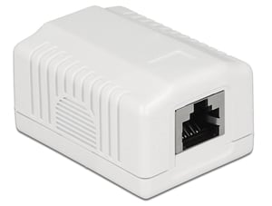 DeLOCK 86196 gniazdko elektryczne RJ-45 Biały