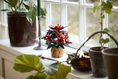 LEGO Botanicals Gwiazda Betlejemska