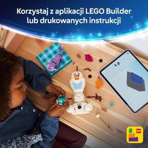 LEGO Disney Princess Piknik Olafa i Bruniego