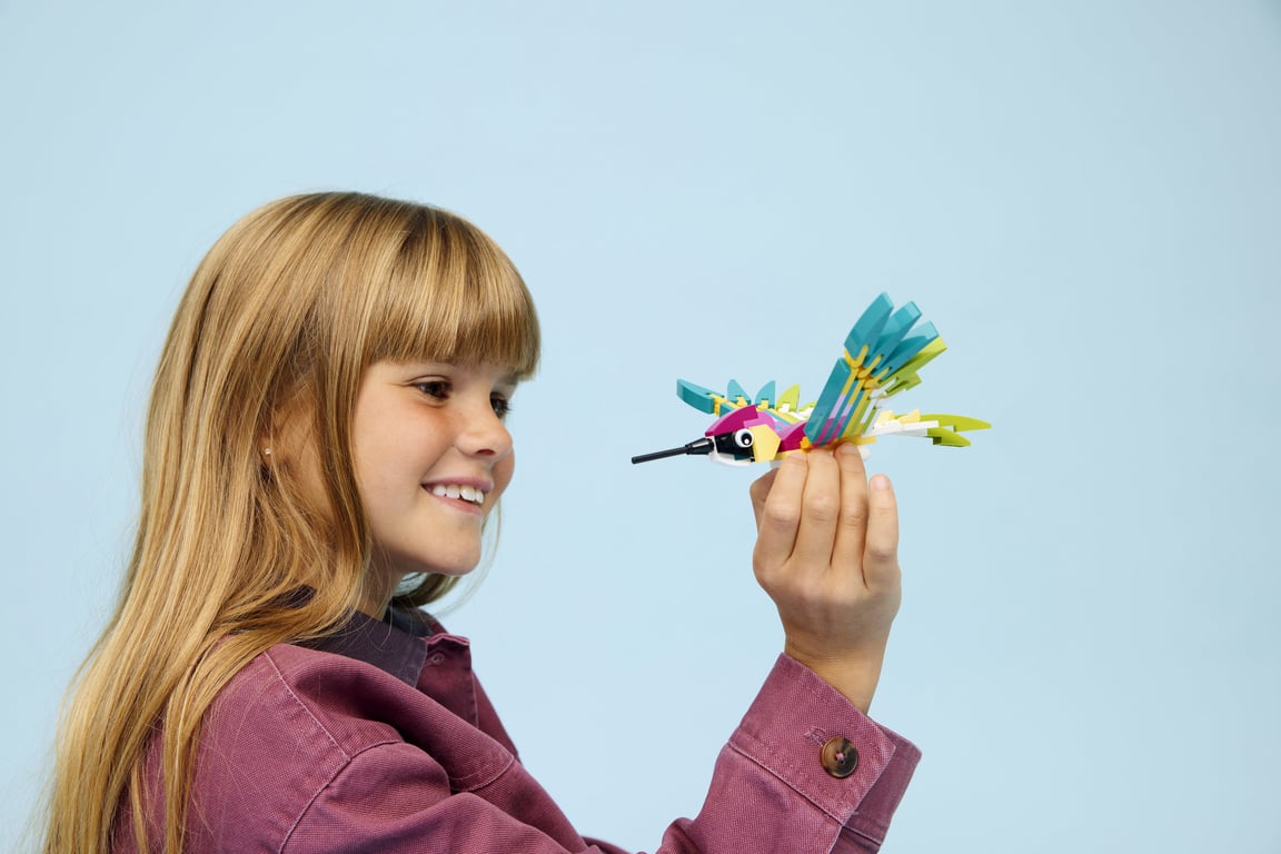 LEGO Creator Dzikie zwierzęta: kolorowy koliber