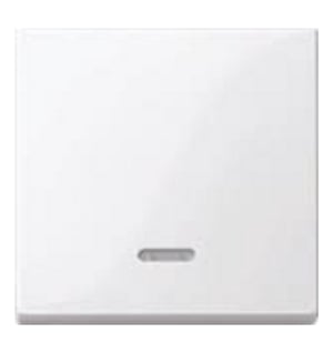 Merten 436025 Light Switch, Thermoplastic, White
